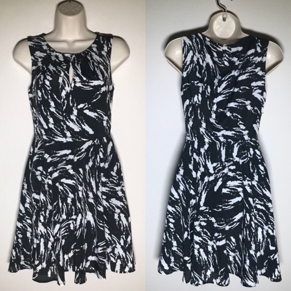 Express fit and flare dress